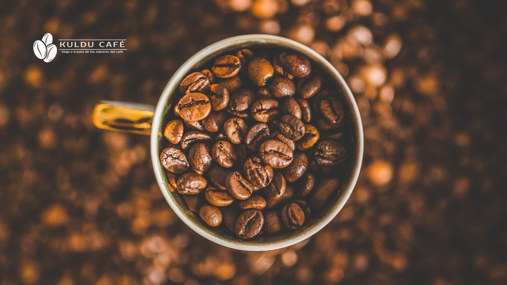 cafetera-de-prensa-fransesa