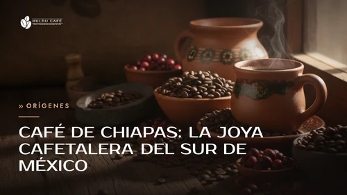 Café de Chiapas: la joya cafetalera del sur de México