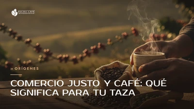 Comercio Justo y Café: Qué Significa para tu Taza