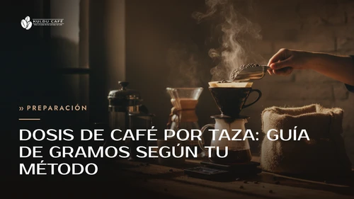 Dosis de Café por Taza: Guía de Gramos según tu Método