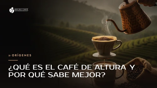 ¿Qué es el café de altura y por qué sabe mejor?